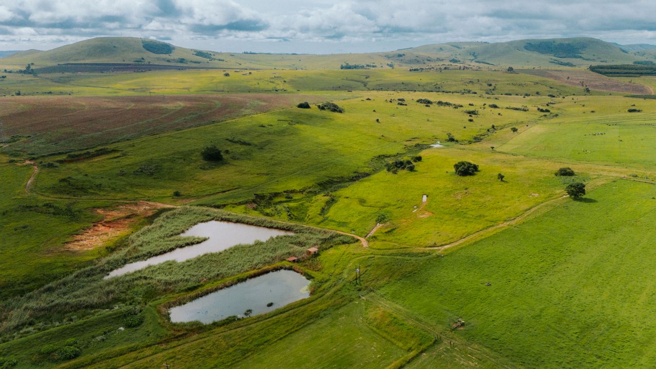 services-01 Aerial view of rolling green hills and ponds near Piet Retief, South Africa.