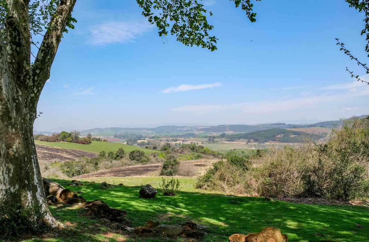 services-01 A tranquil countryside view with lush greenery under a clear blue sky, perfect for nature lovers.